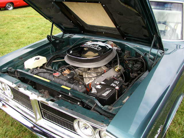 P1010068.JPG